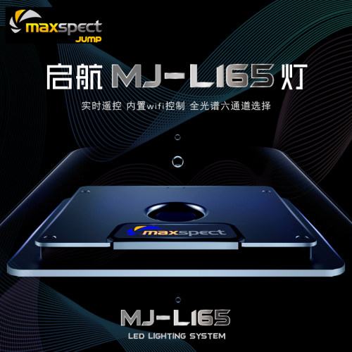 迈光启航灯带灯围LPS珊瑚灯