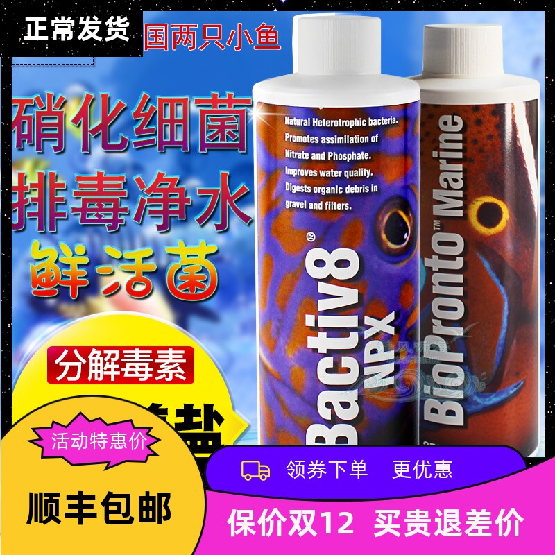 美国两只小鱼硝化细菌海水缸硝化细菌水质稳定 海水缸全菌种 活菌