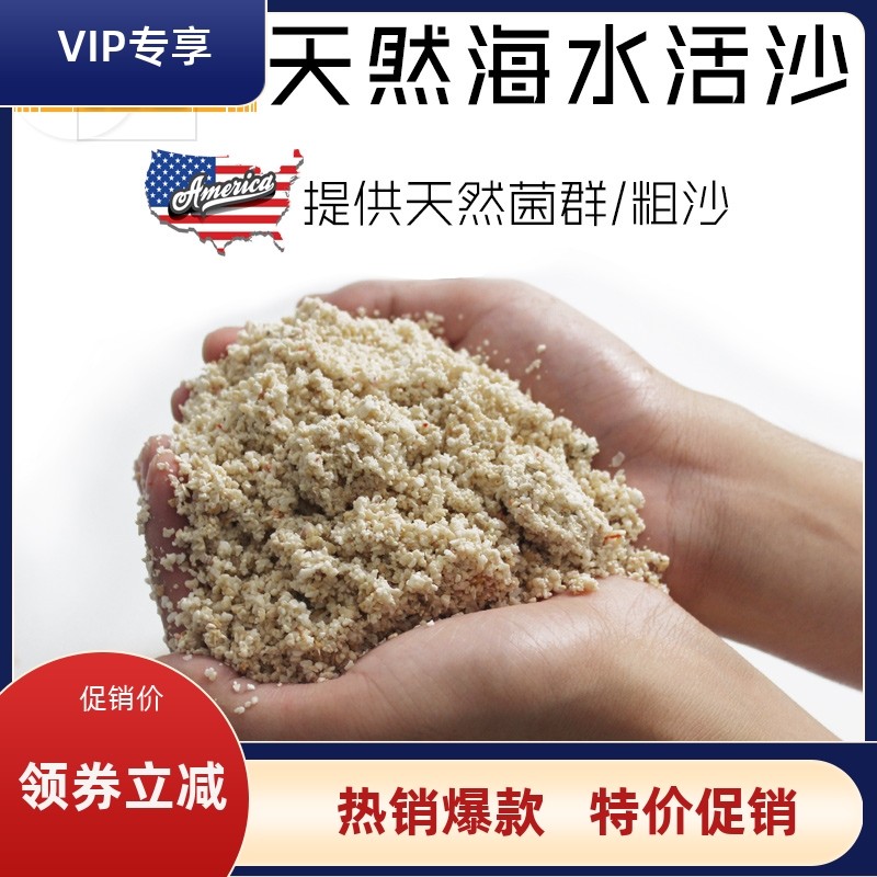 美国两只小鱼活沙 细砂粗砂 含天然菌群鱼缸沙子免洗海缸底沙底砂
