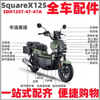 适用新大洲本田SquareX125祖玛SDH125T-47-47A前边条大灯泥瓦外壳