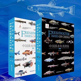 《中国淡水鱼类图鉴》全2册收录超500种淡水鱼 高清实拍 + 专业科普 涵盖形态分布生态 渔业研究水族爱好者必备 精装收藏级工具书