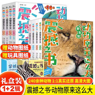 震撼之书动物原来这么大第一辑+第二辑礼盒装全8册JST海陆空动物科普书儿童绘本百科全书大百科全套少儿百科全书动物世界我的动物