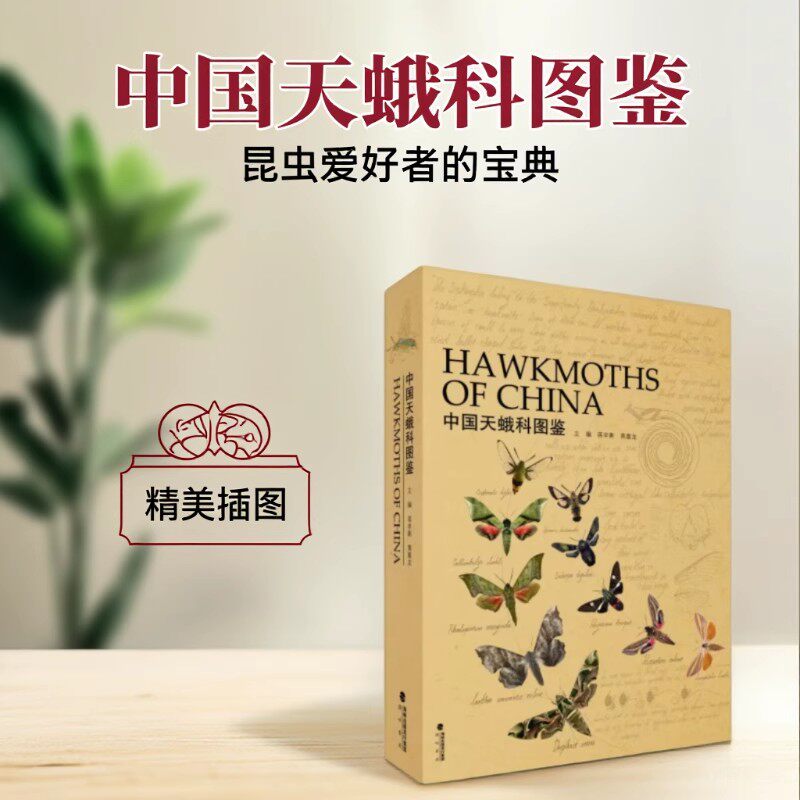 正版现货 中国天蛾科图鉴 蒋卓衡 黄嘉龙主编 海峡书局 昆虫科普图鉴 飞蛾昆虫大百科全书科普dk昆虫书科普