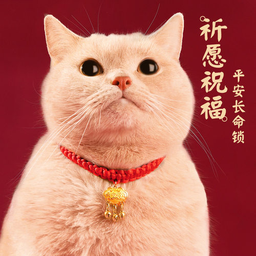 【中国红编织系列】宠物项圈