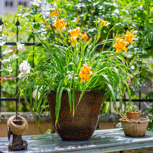 掬涵花盆大号仿水泥多肉盆环保PP树脂花卉绿植花器土培园艺抗老化