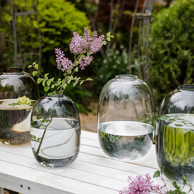 掬涵花瓶玻璃摆件客厅轻奢插花高级感透明水养水培器皿富贵竹鲜花