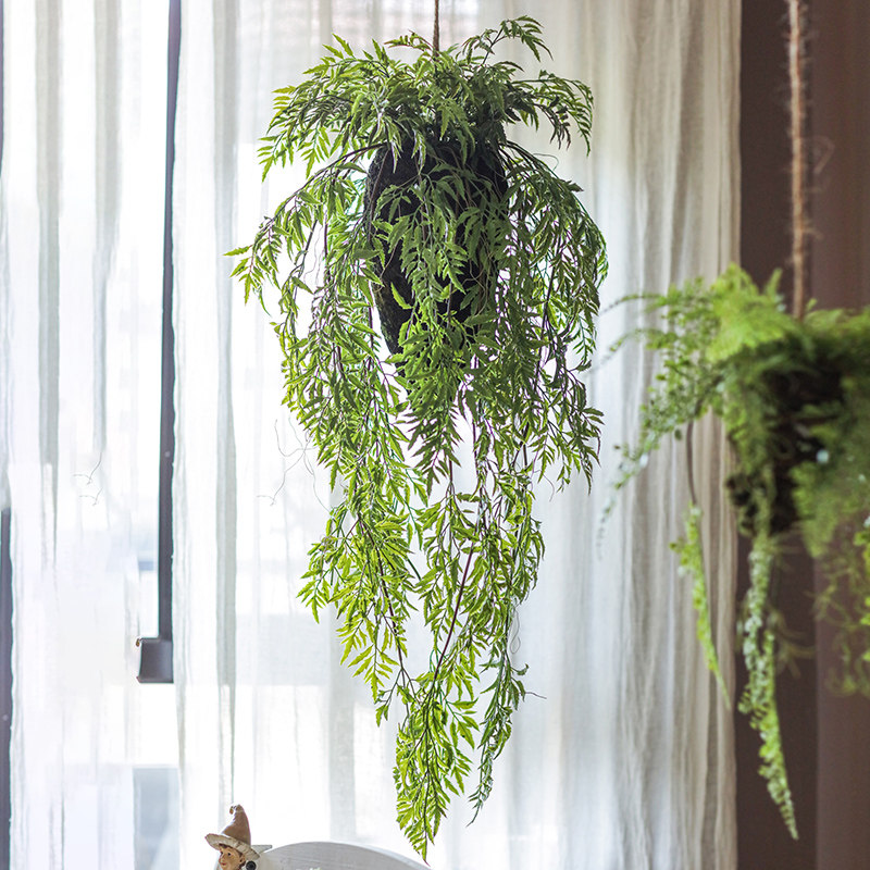 掬涵仿真蕨类植物吊球吊饰空中垂吊挂饰绿植花艺壁挂橱窗装饰森系