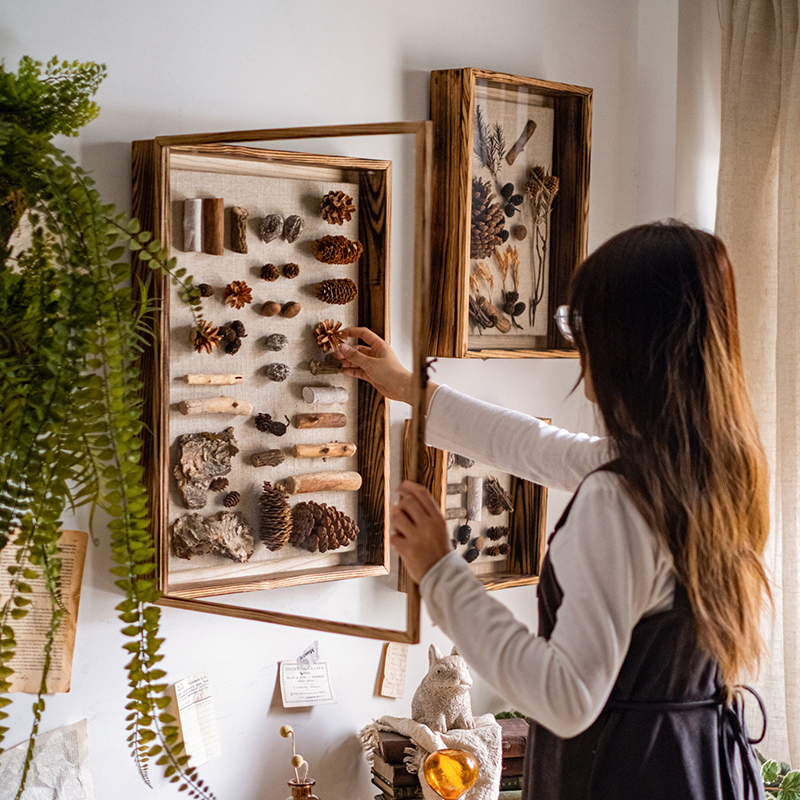 掬涵实木标本相框立体昆虫植物干花diy墙面装饰贝壳展示收纳画框图片