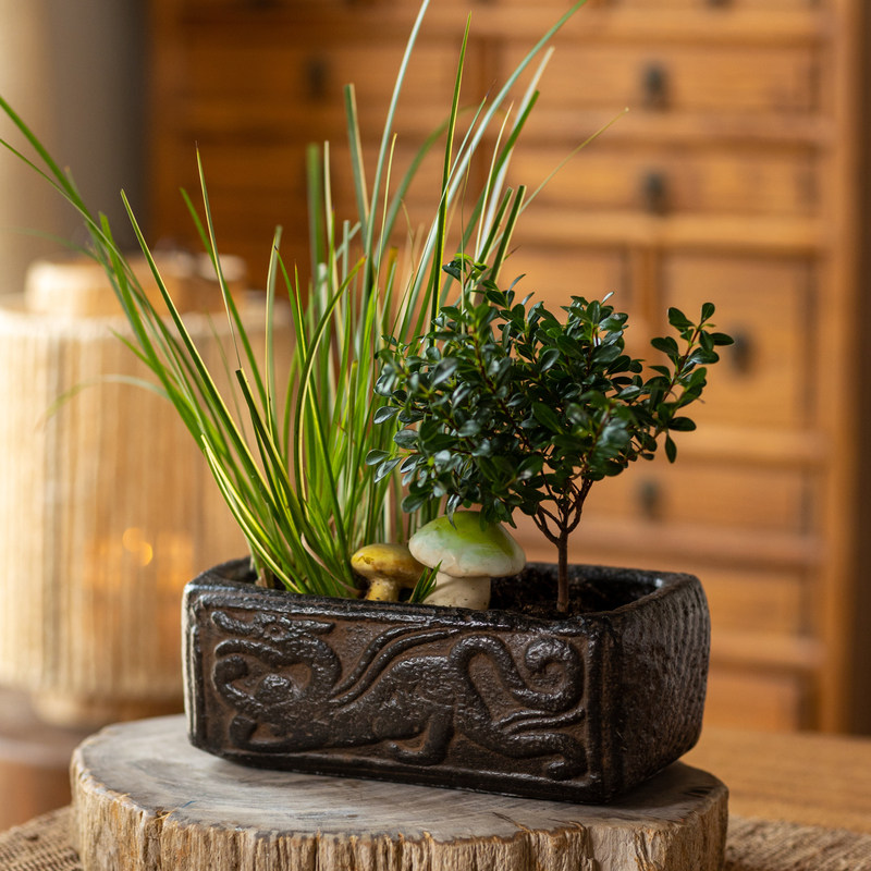 掬涵仿古汉砖花盆办公室书房桌面复古做旧水泥花器家居装饰品摆件,家居饰品,花盆,淘宝优惠券,粉丝福利购,淘宝优惠卷