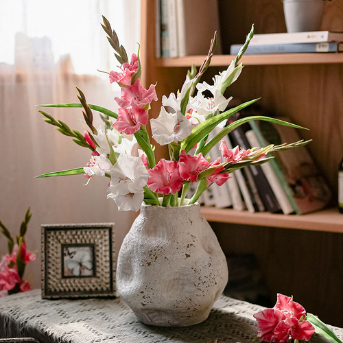 掬涵剑兰仿真花干花客厅茶几餐桌