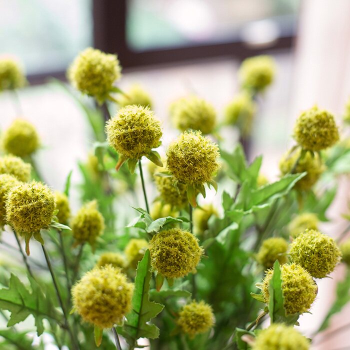 掬涵松绒球仿真植物吊篮绿植卧室图片