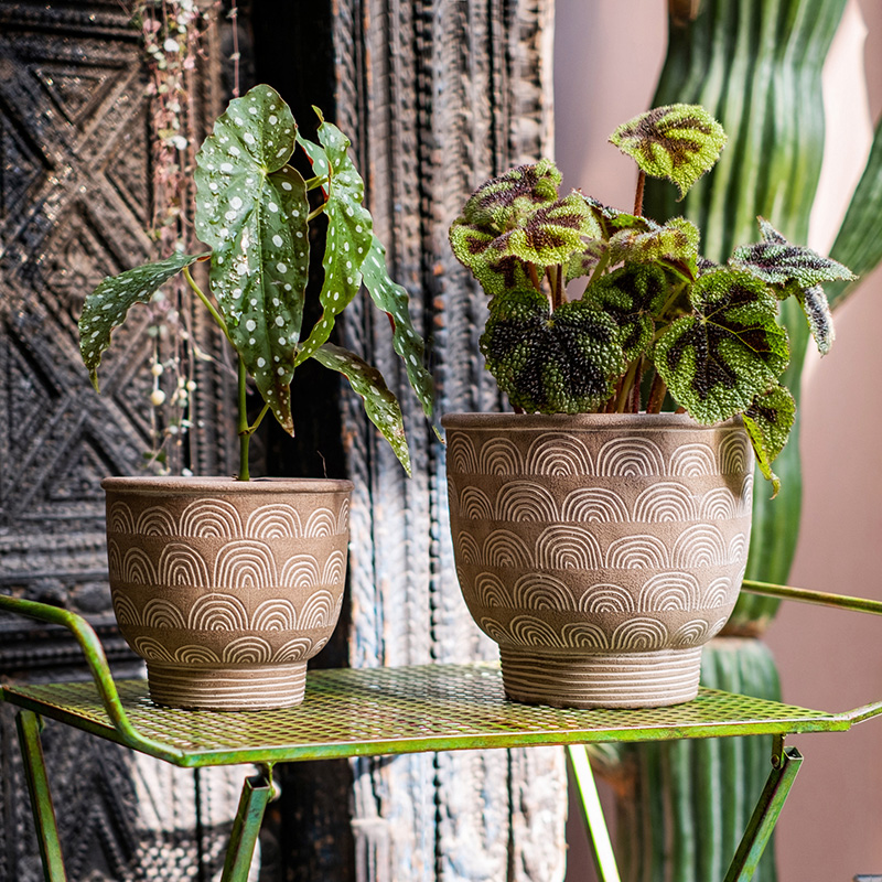 掬涵叠浪复古水泥花盆大号透气多肉盆器阳台别墅庭院日式国古风