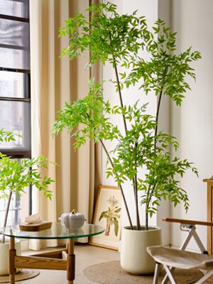 聚汉南地纳竹模拟绿色植物室内大型彷生植物客厅无障碍豪华装饰假