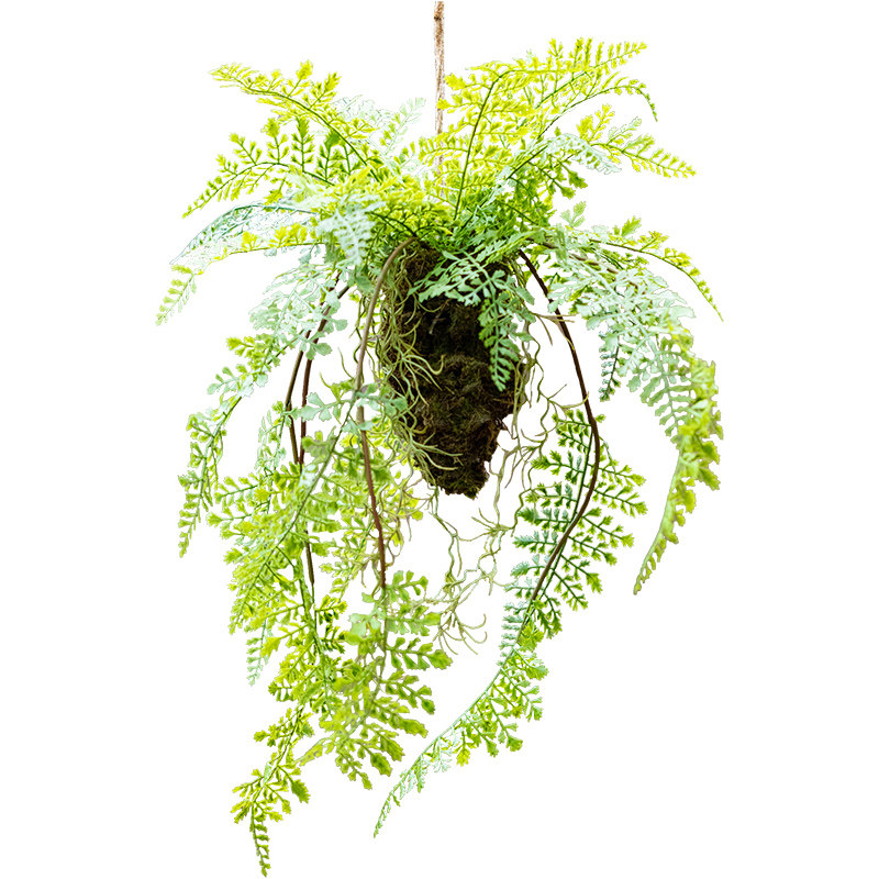 掬涵仿真蕨类植物吊球吊饰空中垂吊挂饰绿植花艺壁挂橱窗装饰森系
