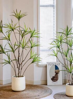 掬涵大型盆景彷真绿色植物龙血树彷生假树千年木植物室内客厅摆件