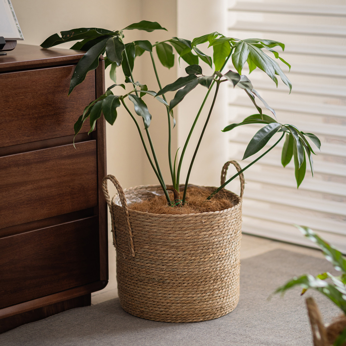 掬涵简约藤草编花盆编织花篮落地大花盆套龟背竹植物装饰套编织筐,家居饰品,花盆,淘宝优惠券,粉丝福利购,淘宝优惠卷