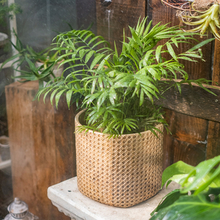 饰 掬涵仿藤编织水泥花盆器皿复古大号套盆轻奢阳台绿植盆栽摆件装