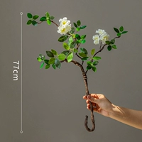 1 цветок бегонии