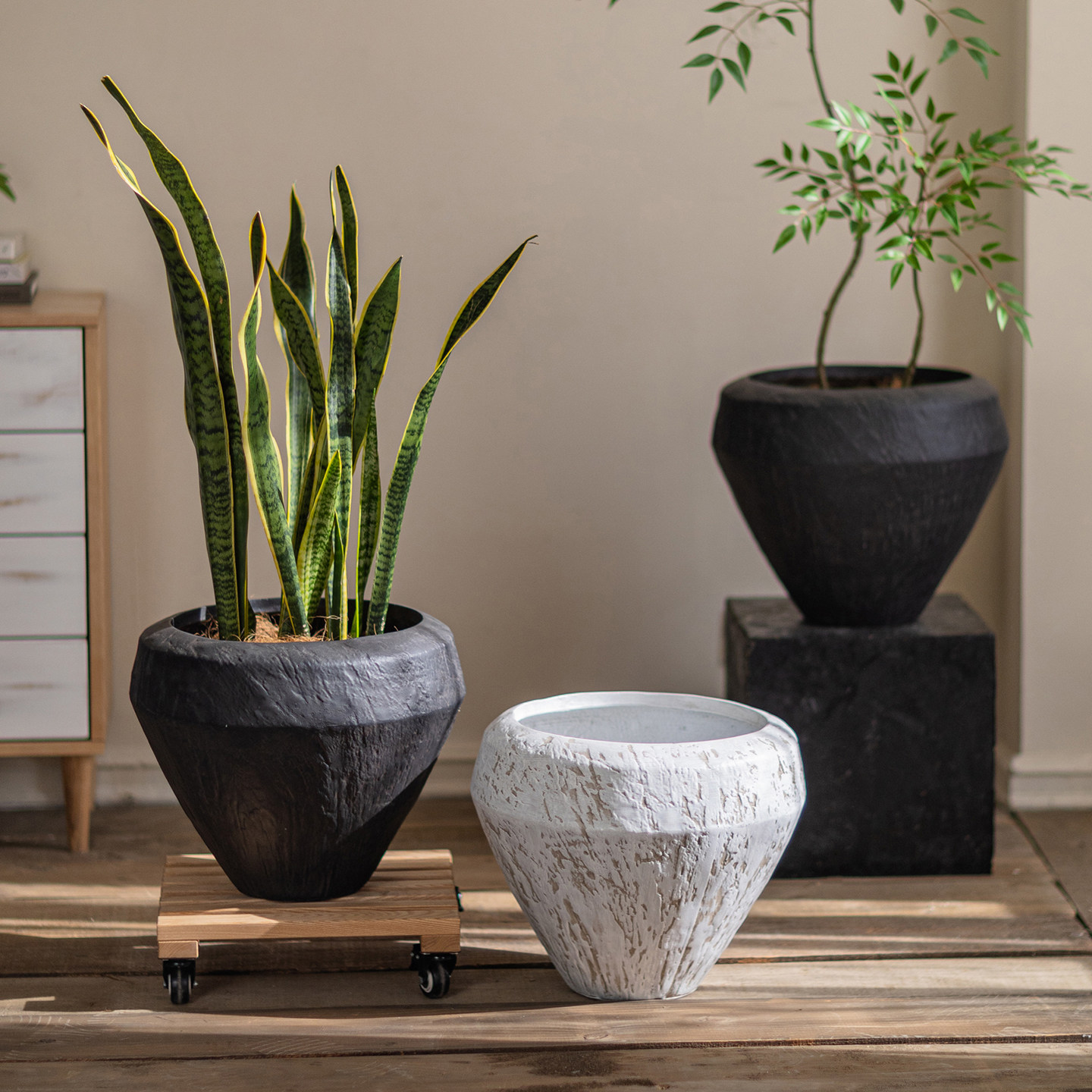 侘寂风镁泥花盆家用客厅龟背竹绿植种植盆栽轻奢高端落地透气花器,家居饰品,花盆,淘宝优惠券,粉丝福利购,淘宝优惠卷