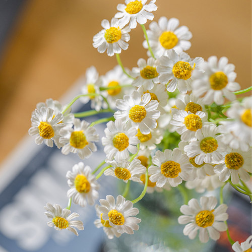 掬涵仿真洋甘菊装饰假花