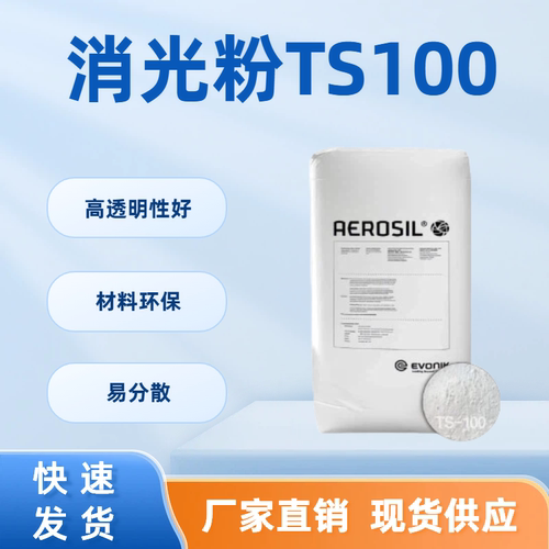 赢创TS100环保消光粉高透扩散