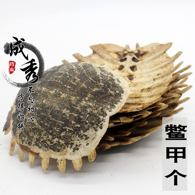 中药材药用鳖甲甲鱼壳图片