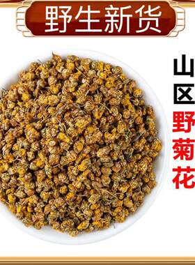 中药材野菊花新货野生包邮