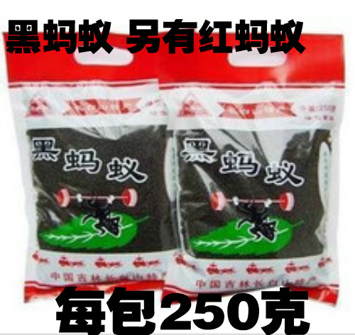 中药材长白山 黑蚂蚁/又大又完整/品质特好/野生蚂蚁 有红蚂蚁
