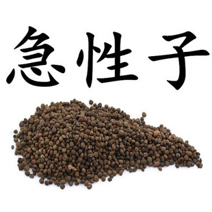 中药材 急性子 白凤仙 灯盏花 凤仙花子 染指甲花子 500g 包邮