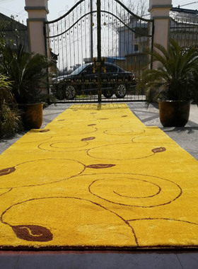 金黄色门口进门地垫幼儿园卧室踏脚垫早教中心门垫酒店走廊长地毯