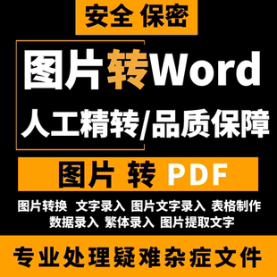 图片文字翻译 图片文字提取 图片转Word文档图片转文字 图片转PDF