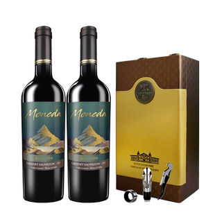 智利原瓶进口红酒礼盒装 干红葡萄酒双支装套装皮盒 年货送礼红酒