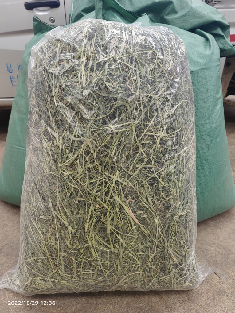 23年新鲜批量款北提摩西干草兔子养殖龙猫荷兰猪主饲料包邮牧草