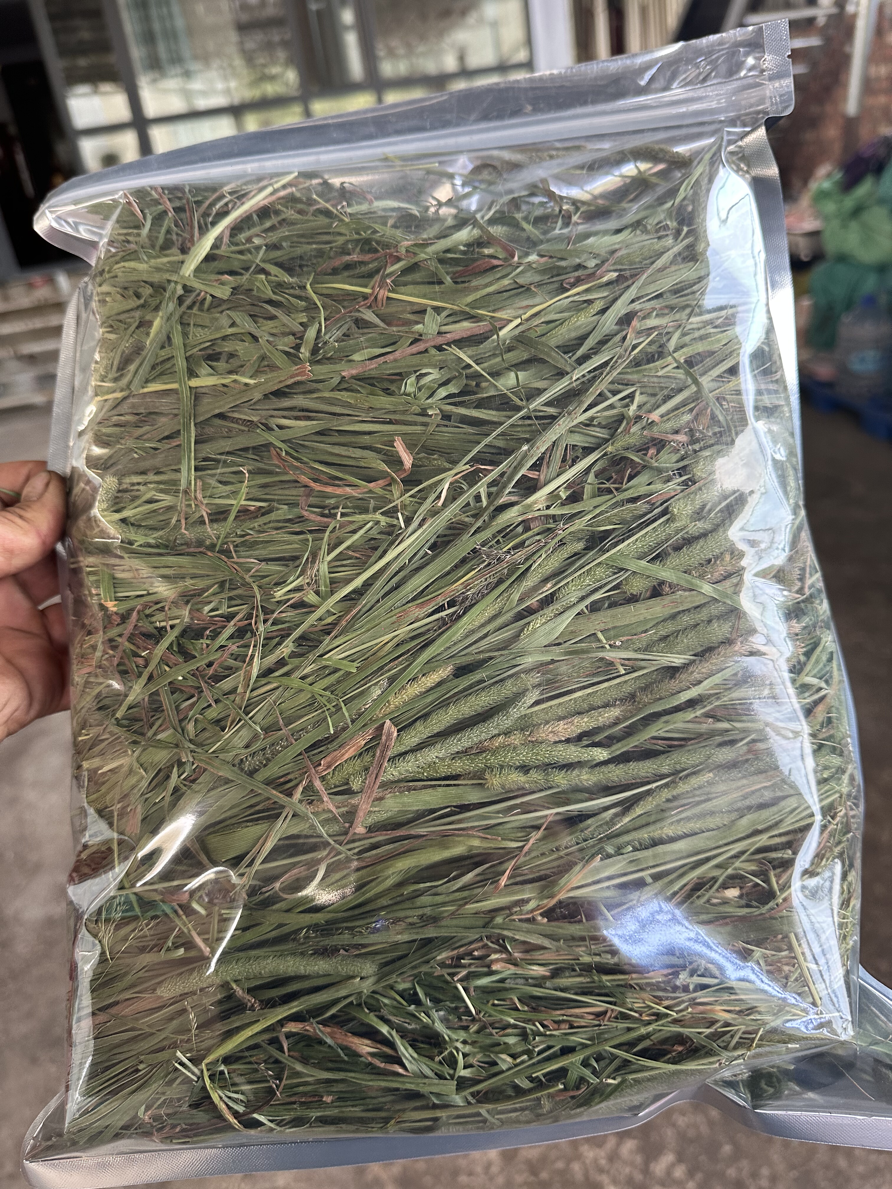 25年莜草源烘干北提二茬兔兔龙猫豚鼠主草饲料有黄叶包邮