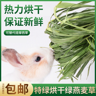 2025头茬烘干国产燕麦草草段兔子草荷兰猪龙猫牧草饲料2斤包邮