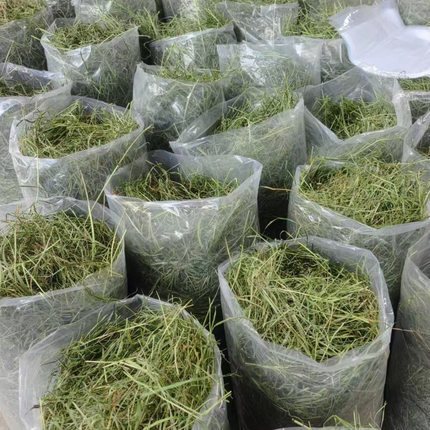 2026年烘干精选干草兔子草粮兔粮牧草龙猫荷兰猪饲料粮食包邮