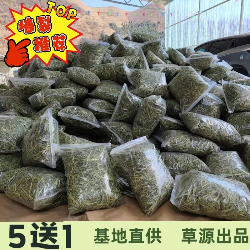 提摩西莜草源干草兔子饲料荷兰猪