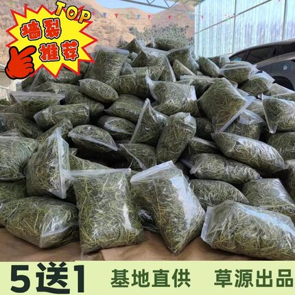 2025优质提摩西干草 晾晒北提 兔子龙猫主饲料500g 荷兰猪1斤包邮