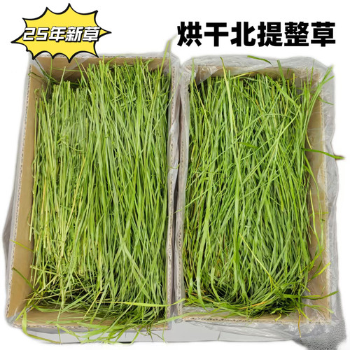 莜草源提摩西草兔草龙猫饲料兔兔