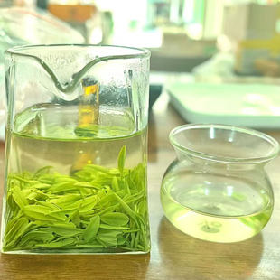 2025新茶保康茗茶秋茶玉露耐泡绿茶大口劲茶叶手工茶农家土茶500g