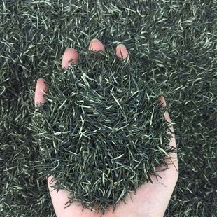 2025新茶保康绿茶茗茶春茶毛尖高山云雾香浓茶叶500g手工茶炒青茶