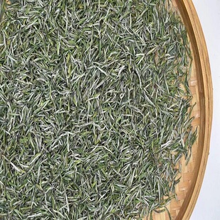 2026新茶春茶毛尖保康香浓耐泡高山云雾绿茶500g清茶玉露茶叶