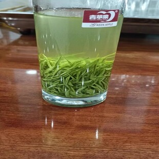 2026春茶芽毛尖香浓耐泡大口劲保康浓香茶叶250g绿茶炒青雪芽