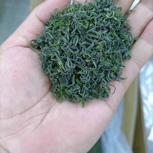 2025新茶保康茗茶明前日照充足炒青青茶茶叶口感好高山碧螺春250g