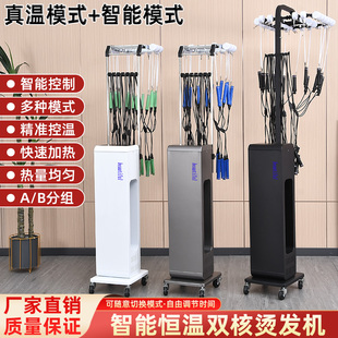烫发机 理发店发廊恒温烫头发艾文芭菲单孔智能烫发机器热烫机数码