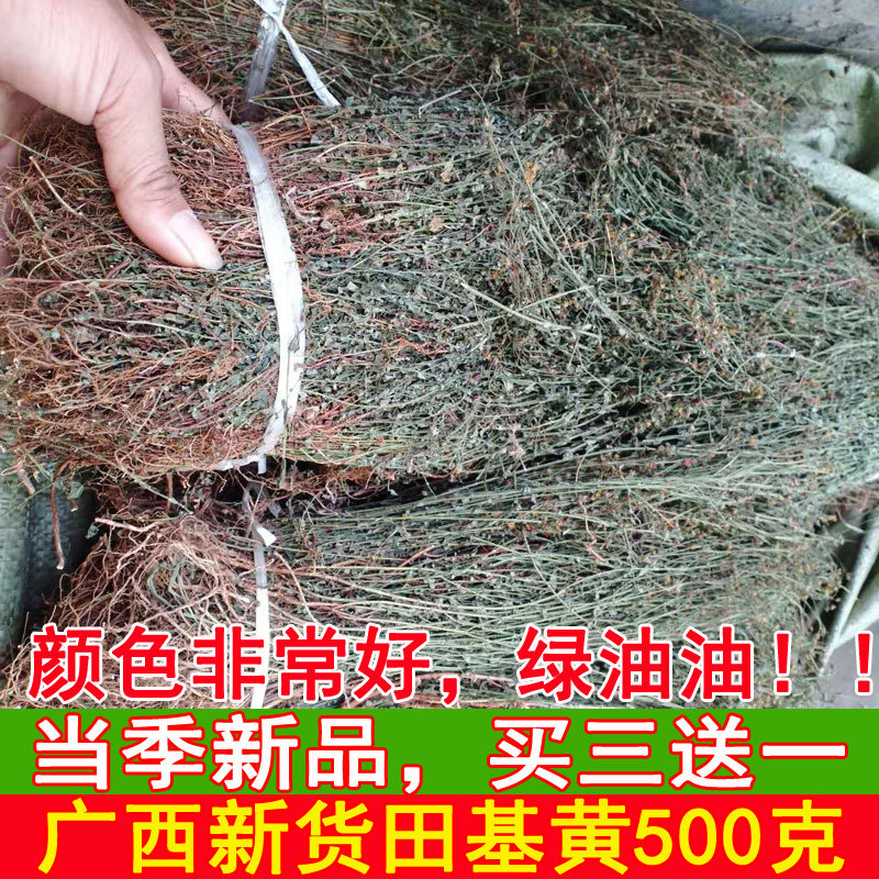 新晒农家田基黄 新鲜地耳草中草药材田基王黄花草干货 500g