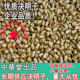 包邮 新货决明子枕头 大颗粒100斤装 儿童小孩玩具沙 生决明子枕芯