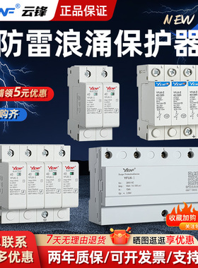 防雷浪涌保护器二级2P 3P 4P40KA60KA家用避雷器一级电涌开关光伏