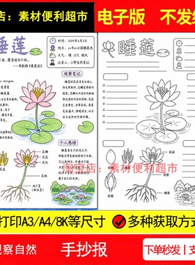 观察自然手抄报电子模板睡莲结构习性暑假记录线稿手绘小报作业