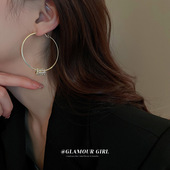 银针金属风镶钻圆耳圈时尚 高级感气质耳环耳坠网红个性 几何耳饰